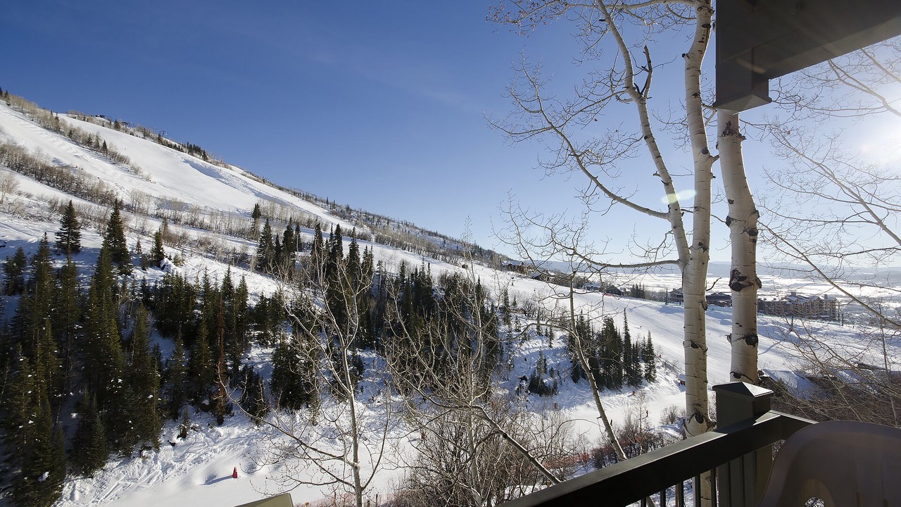 Photo of Others in Steamboat Springs