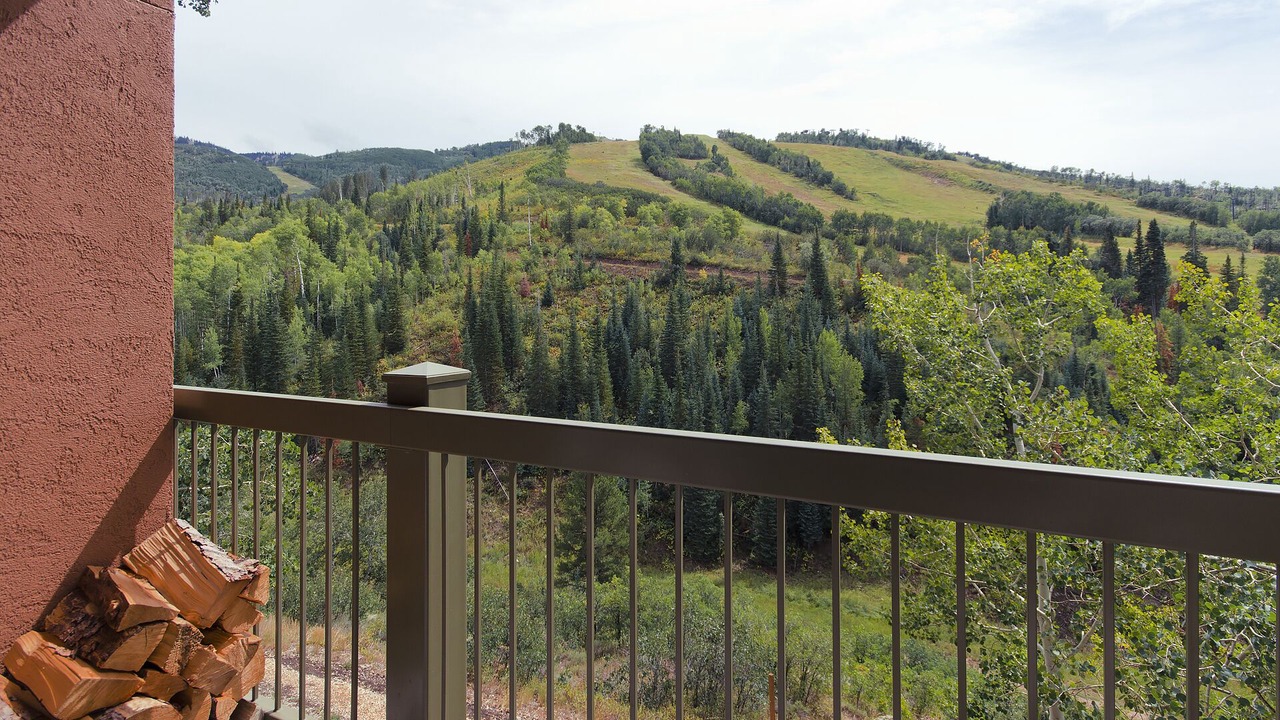 Photo of Others in Steamboat Springs