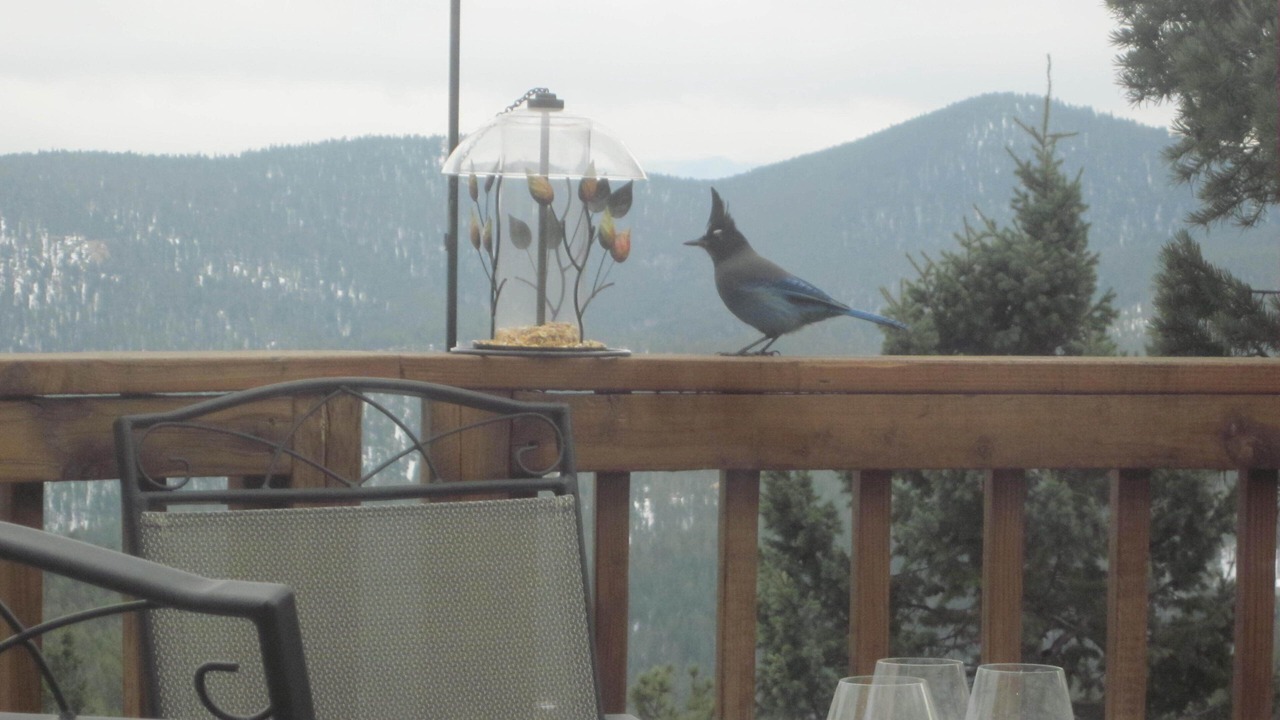 Photo of Outdoor in Shadow Mountain