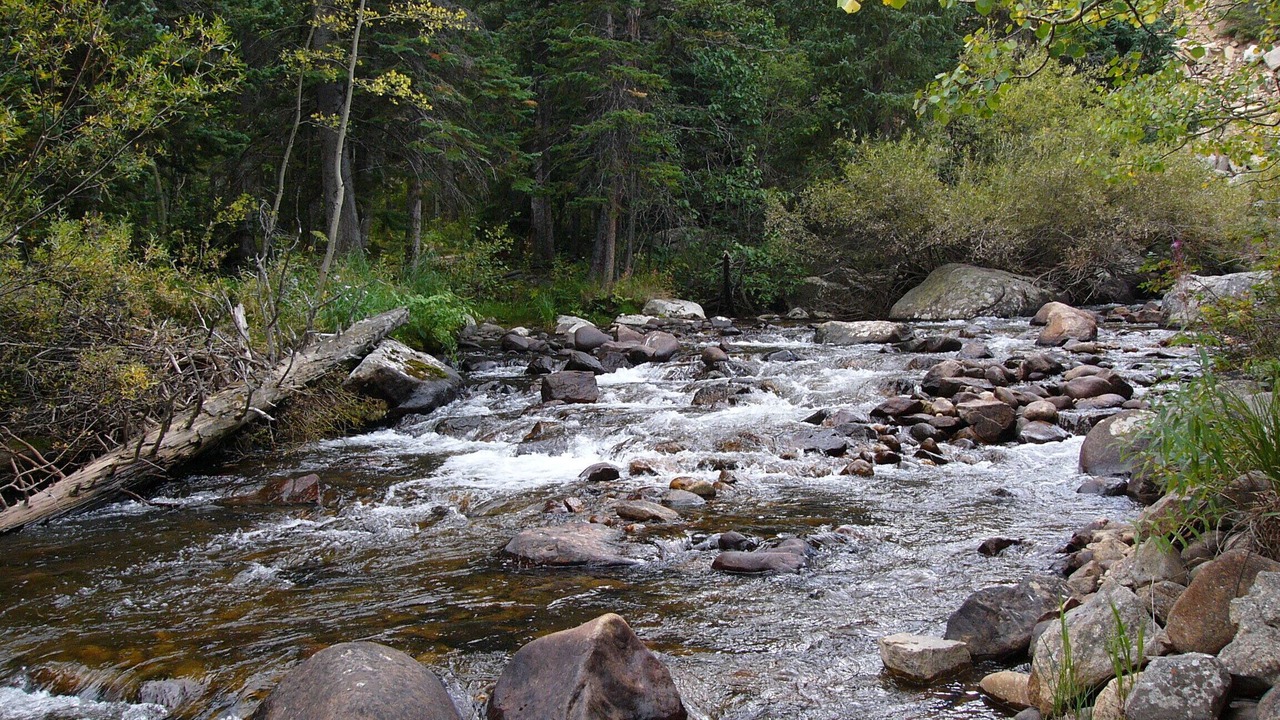 Photo of Others in Lyons