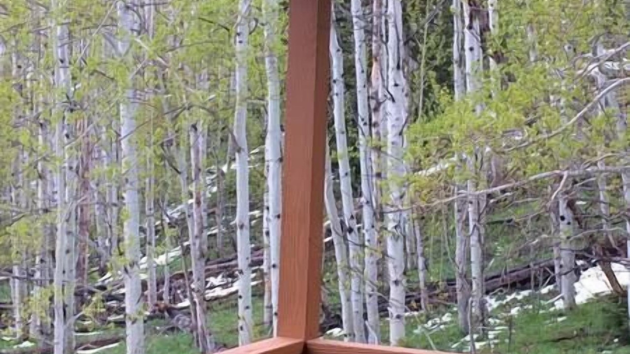Photo of Others in Walden