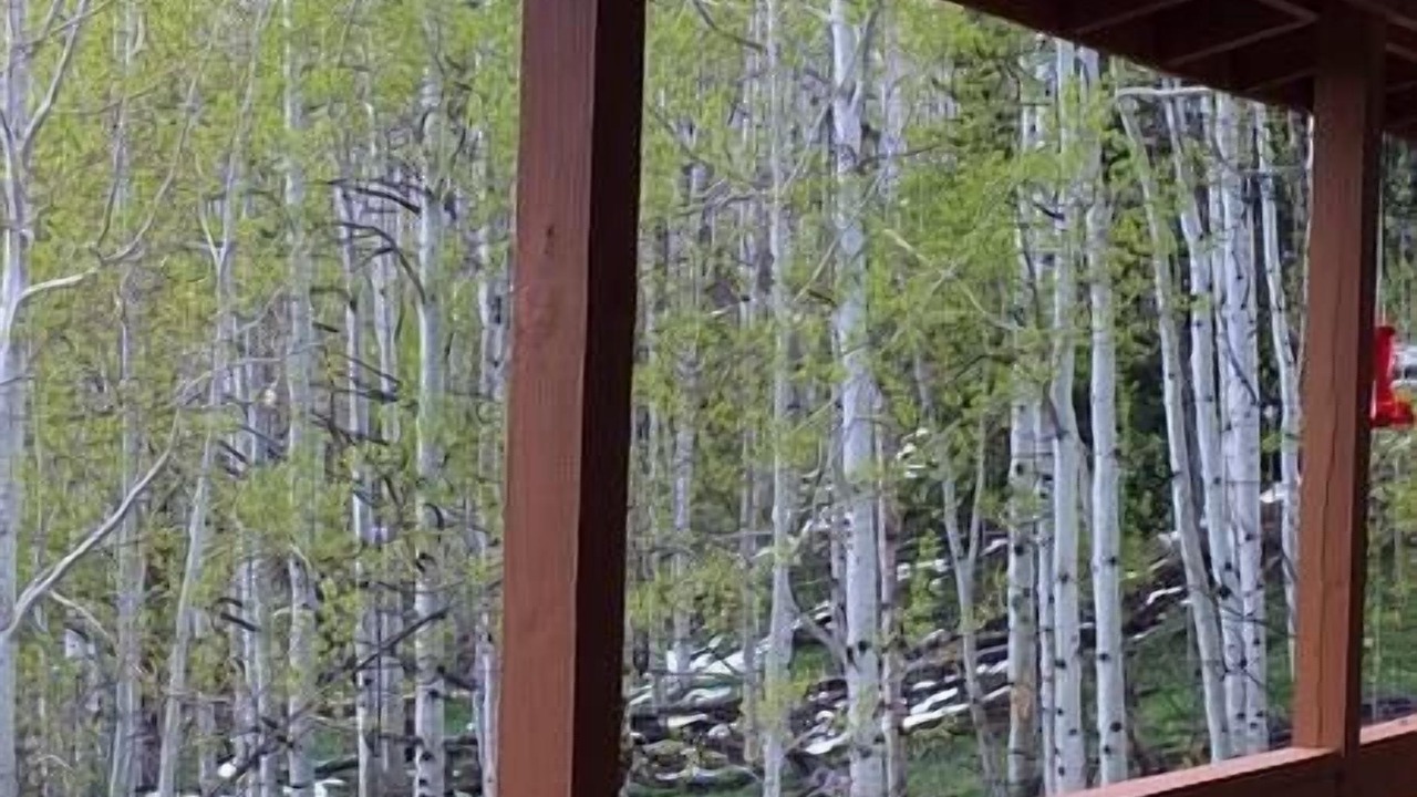 Photo of Others in Walden