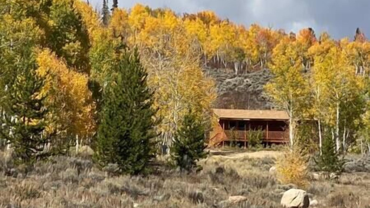 Photo of Others in Walden