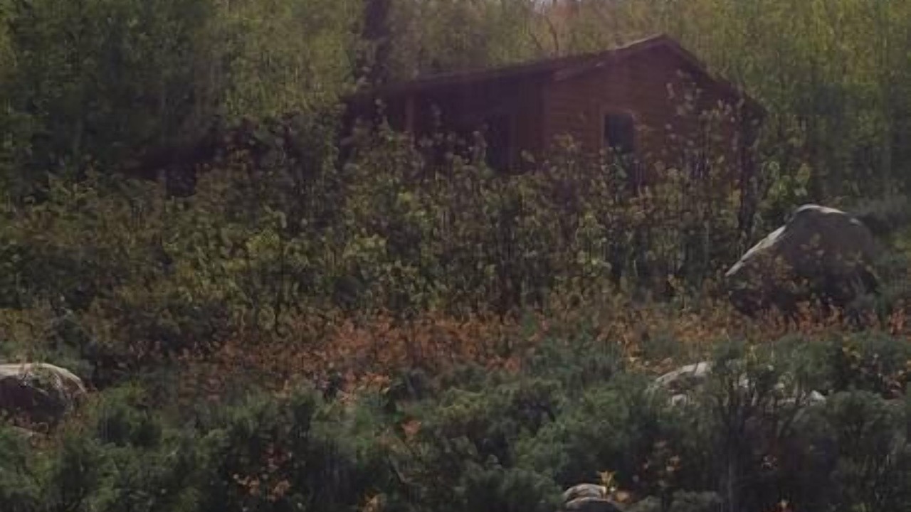 Photo of Others in Walden