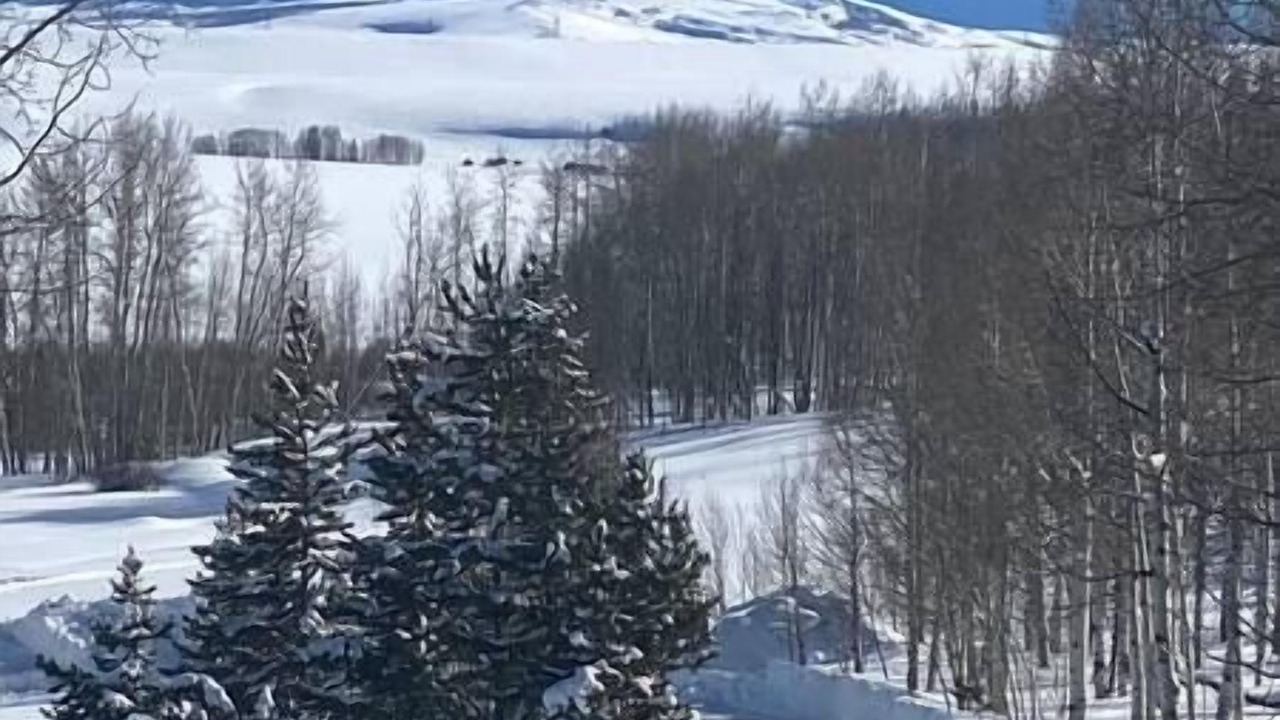 Photo of Others in Walden