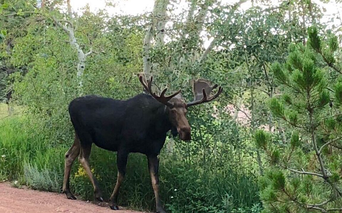 Photo of Outdoor in Crystal Lake