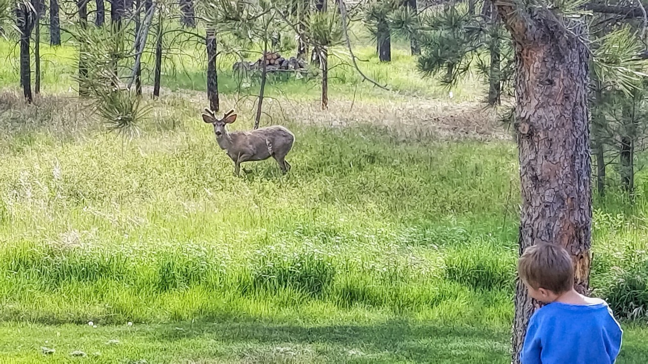 Photo of Outdoor in Colorado Springs