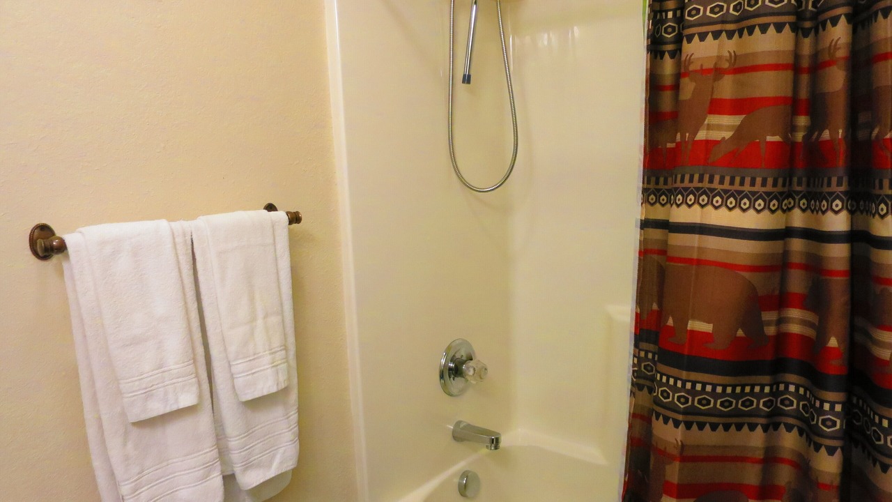 Photo of Bathroom in Manitou Springs