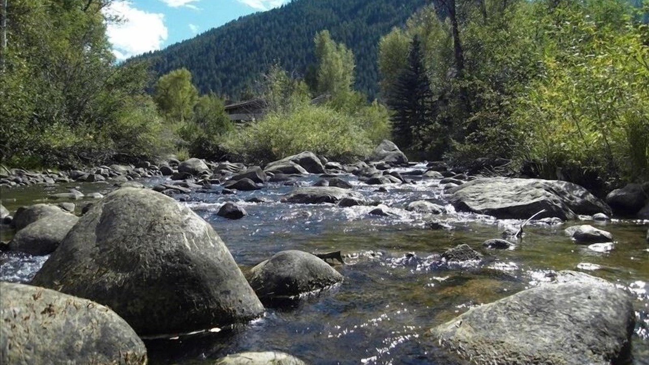 Photo of Others in Aspen