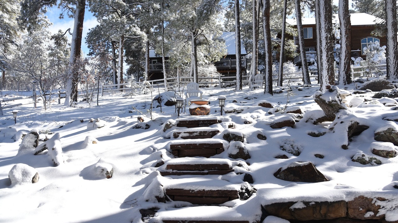 Photo of Others in Pagosa Springs