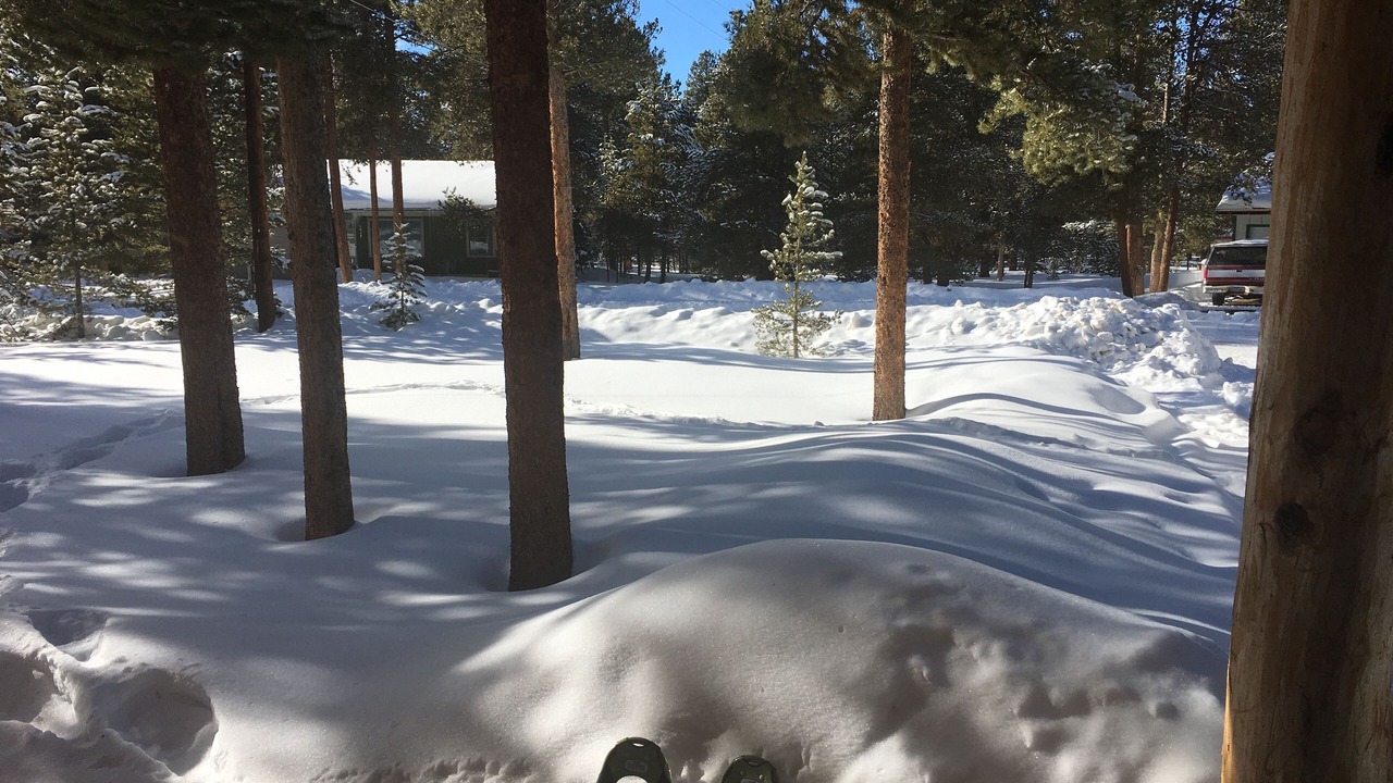 Photo of Others in Leadville North