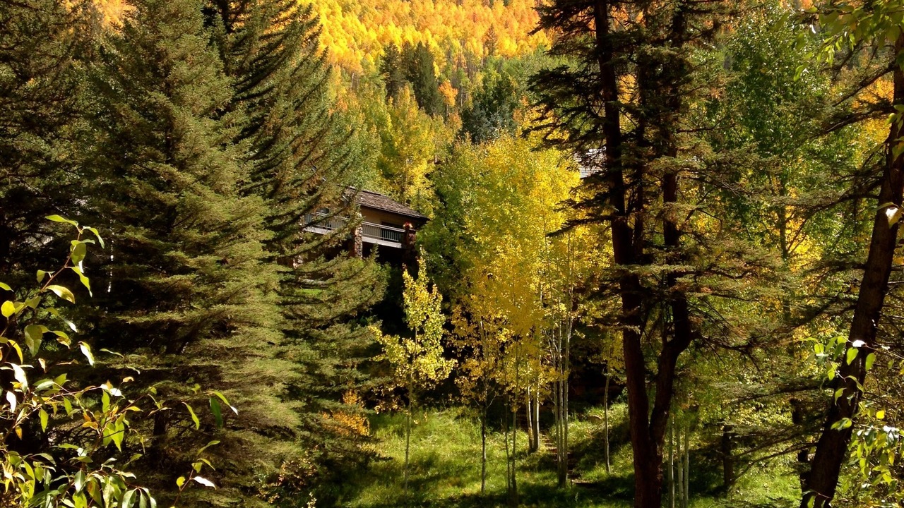 Photo of Others in Vail