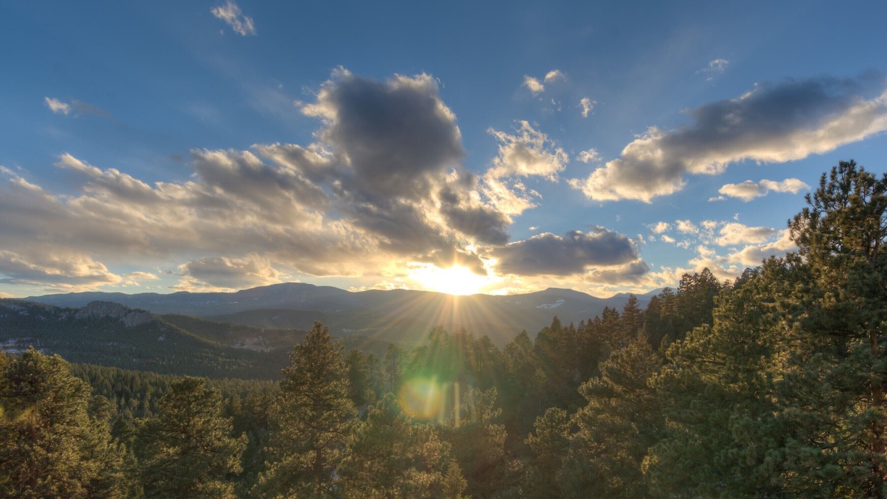 Photo of Others in Evergreen