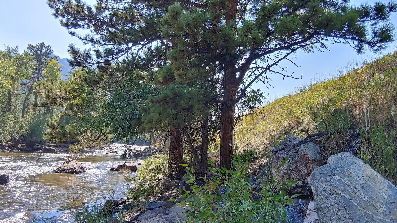 Photo of Others in Rustic