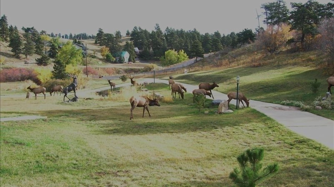 Photo of Others in Mount Vernon