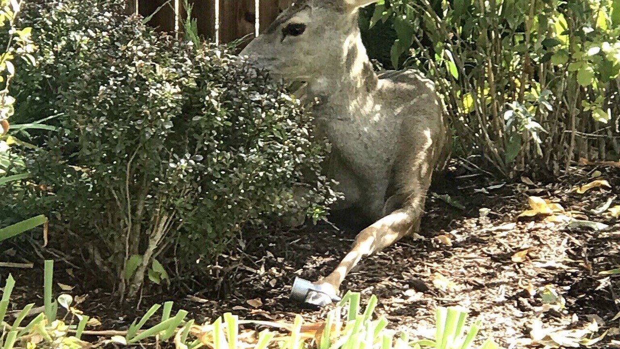 Photo of Outdoor in Broadmoor