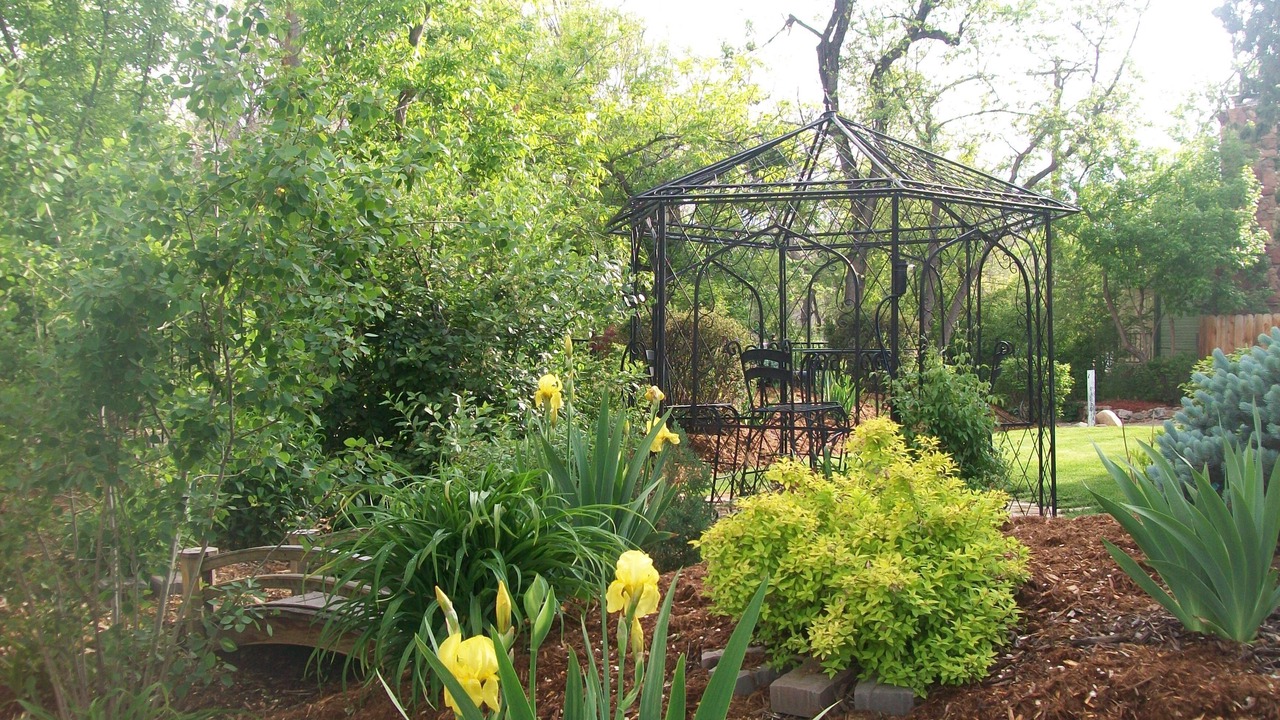 Photo of Outdoor in Broadmoor