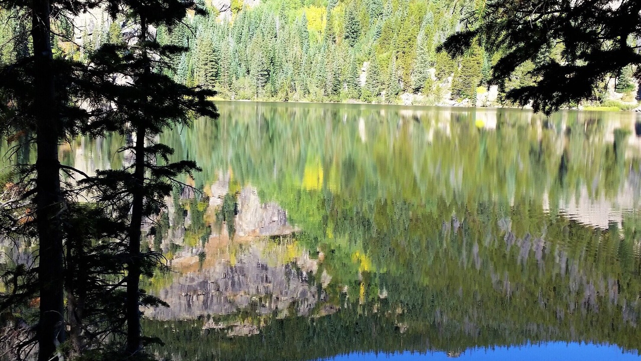 Photo of Outdoor in Golden