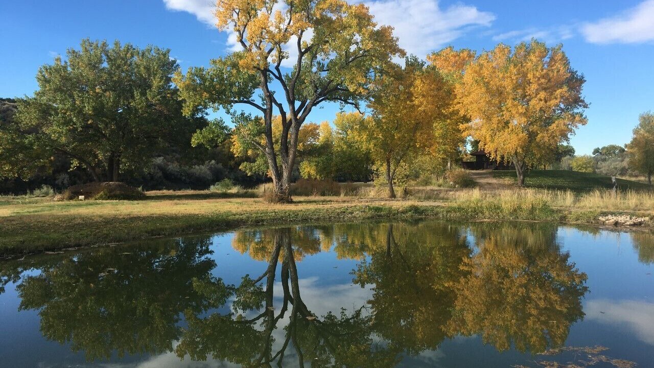 Photo of Outdoor in Palisade