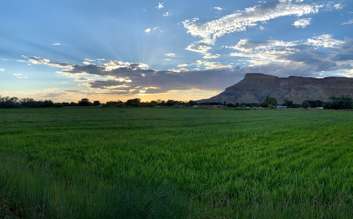 Photo of Outdoor in Palisade