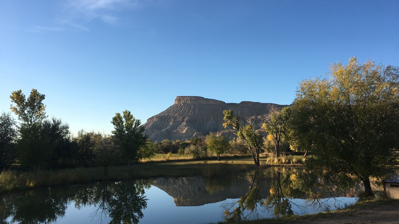 Photo of Others in Palisade