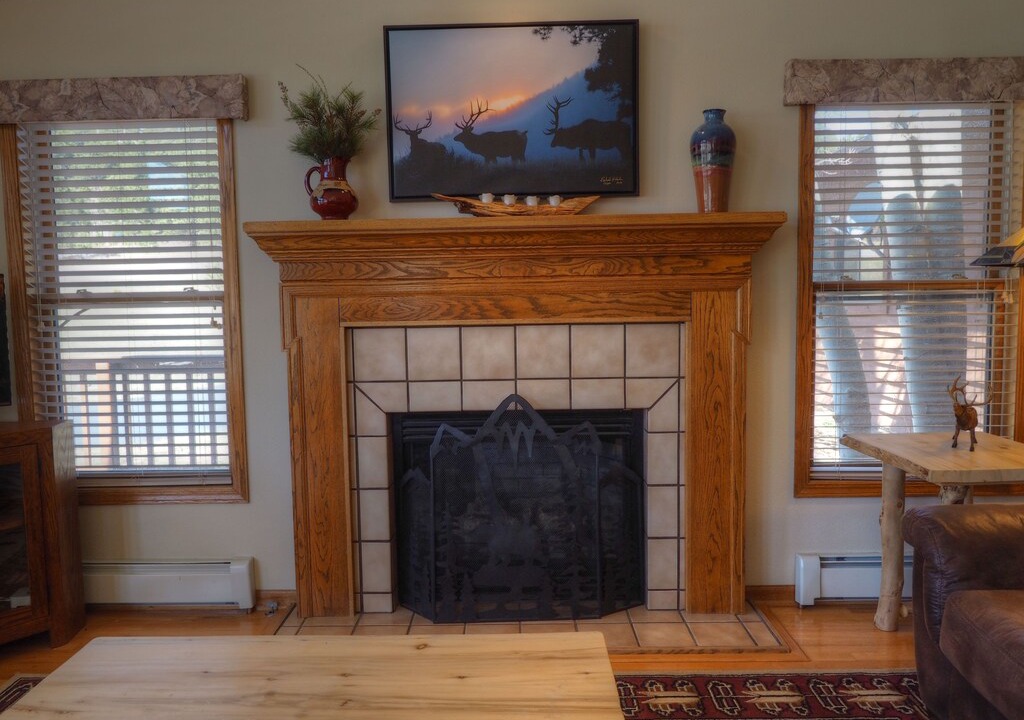 Photo of Livingroom in Estes Park