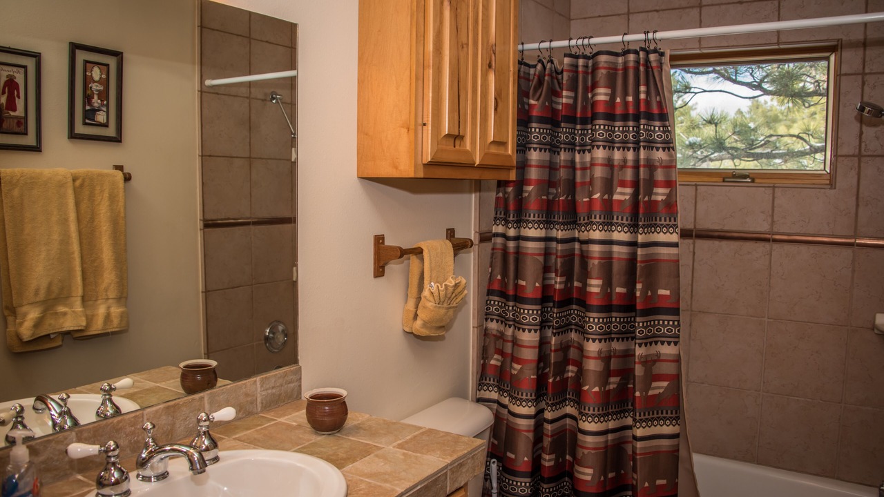 Photo of Bathroom in Pagosa Springs