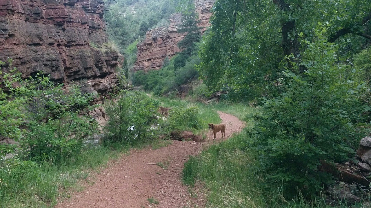 Photo of Others in Manitou Springs Historic District