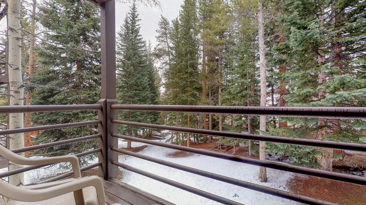 Photo of Outdoor in Four O'Clock