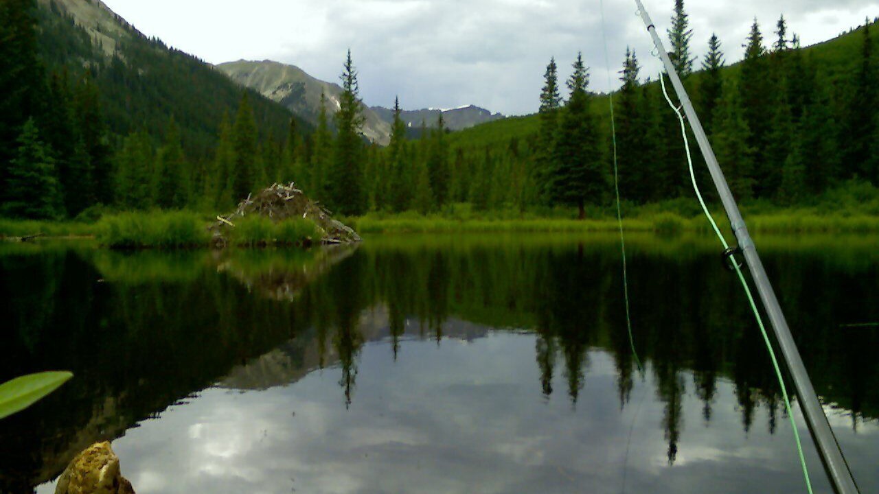 Photo of Others in Buena Vista