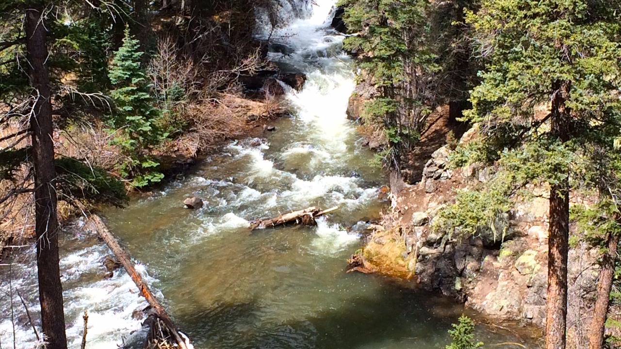 Photo of Others in Columbine Lake