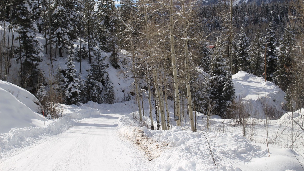 Photo of Others in Columbine Lake