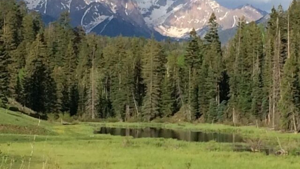 Photo of Others in Columbine Lake