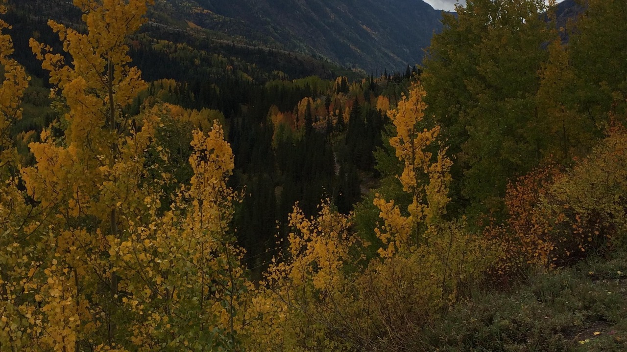 Photo of Others in Columbine Lake
