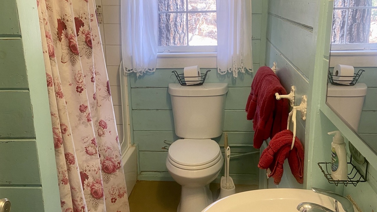 Photo of Bathroom in Bayfield