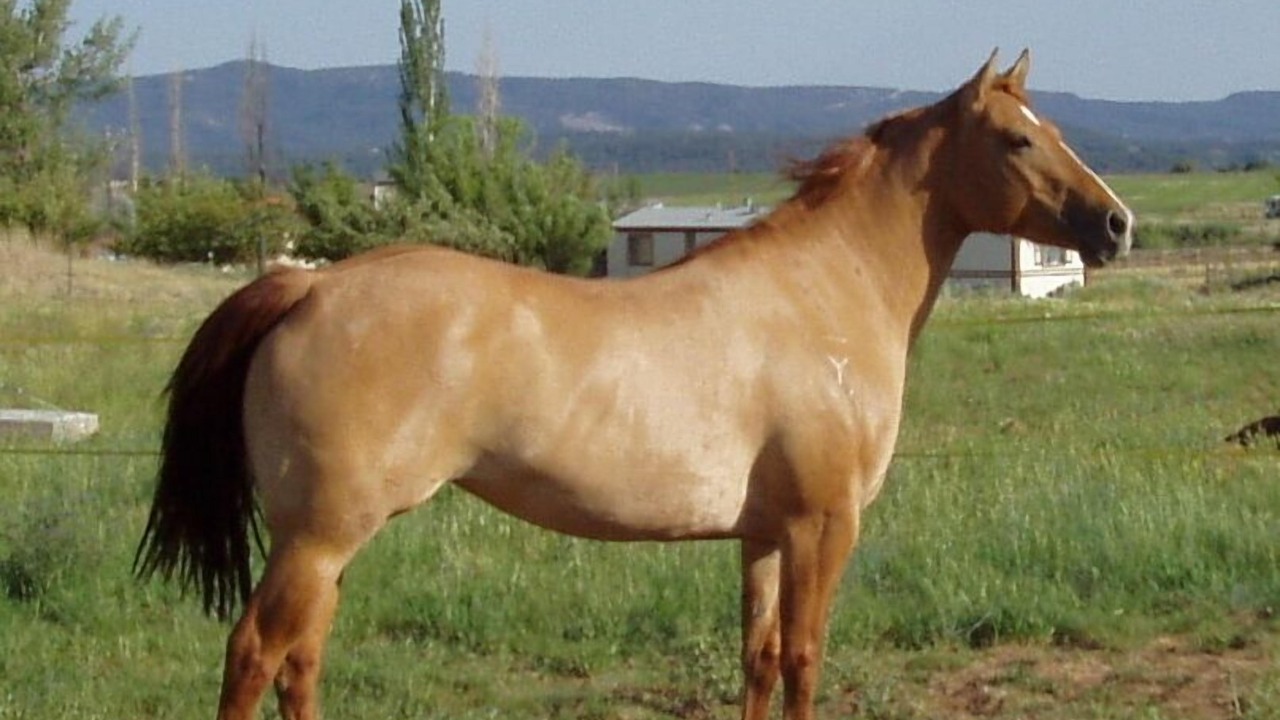 Photo of Others in Durango