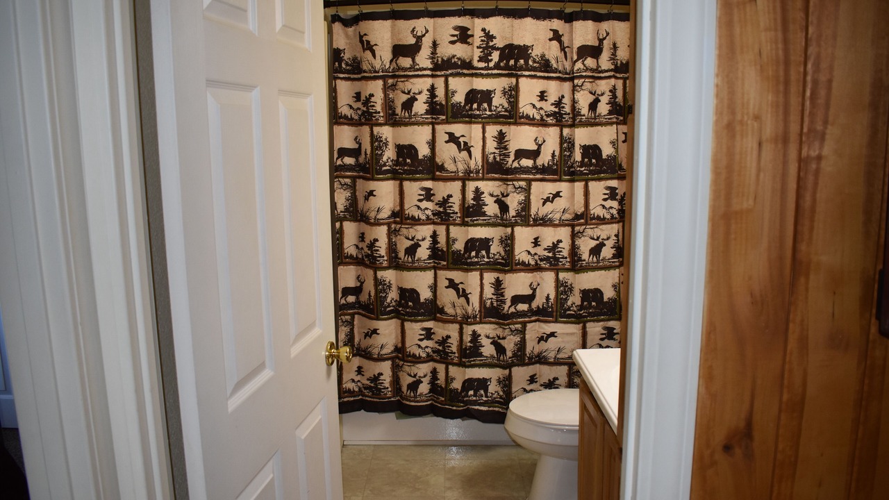 Photo of Bathroom in Florissant