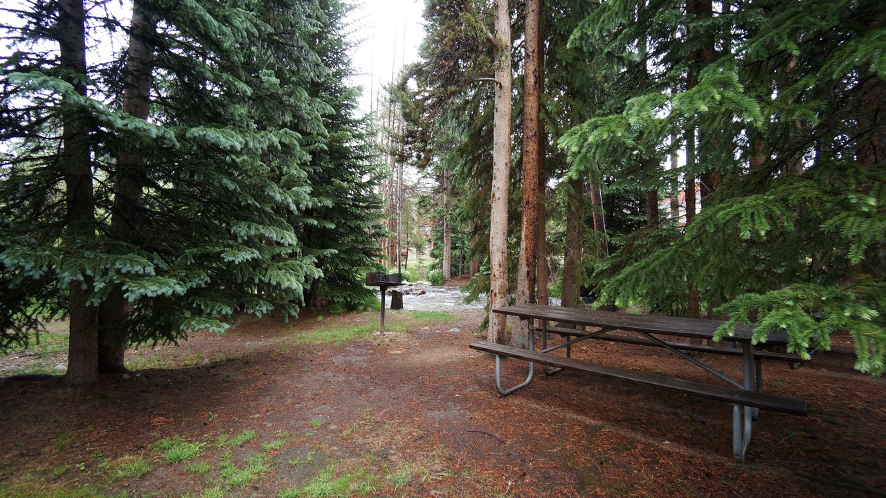 Photo of Outdoor in Four O'Clock