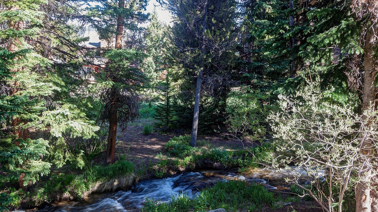 Photo of Outdoor in Four O'Clock