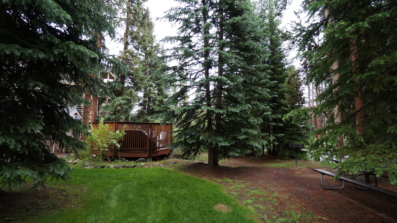 Photo of Outdoor in Four O'Clock