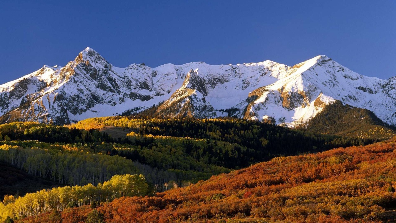 Photo of Others in Telluride