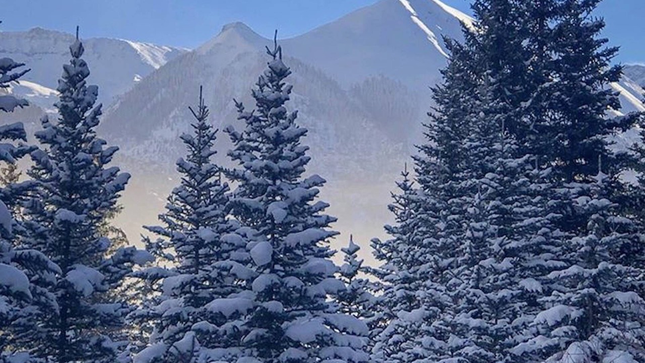 Photo of Others in Telluride