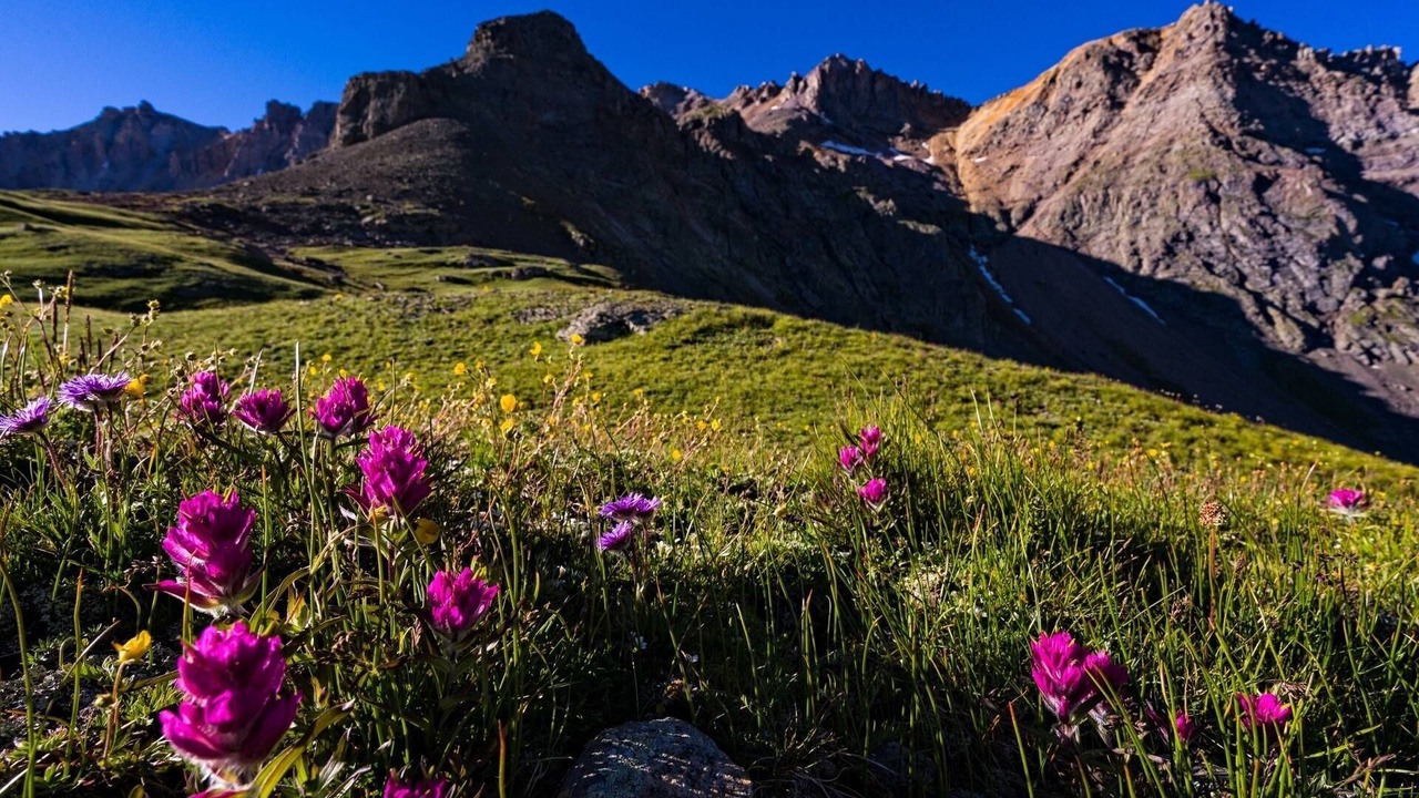 Photo of Others in Telluride
