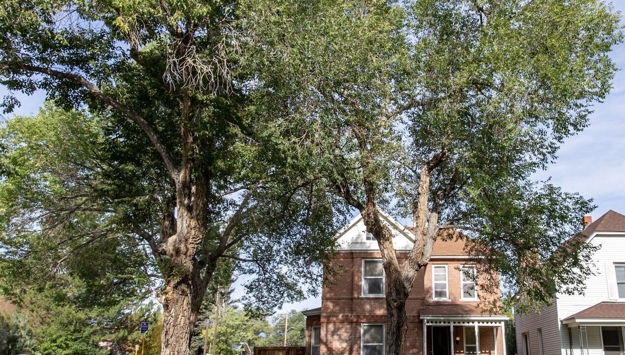 Photo of Outdoor in Salida