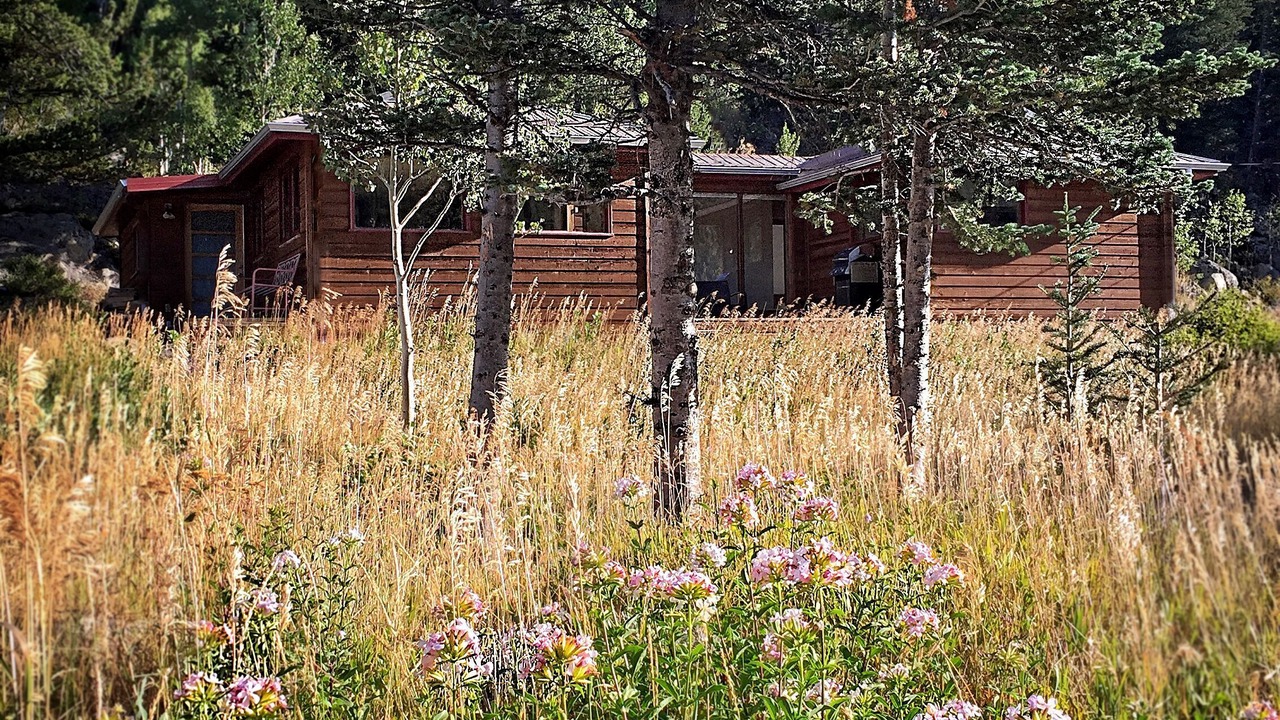 Photo of Outdoor in Eldora