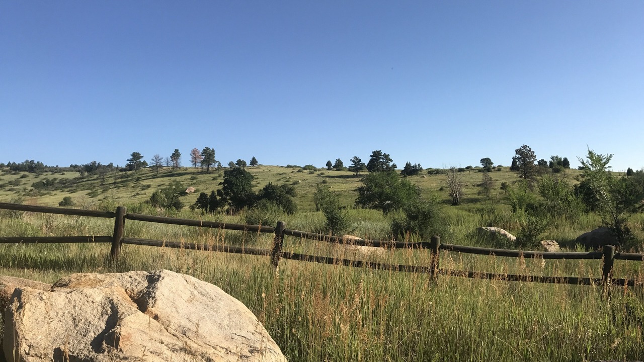 Photo of Others in Broadmoor