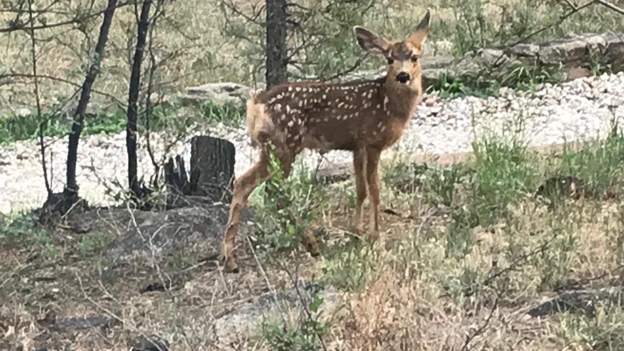 Photo of Outdoor in Broadmoor