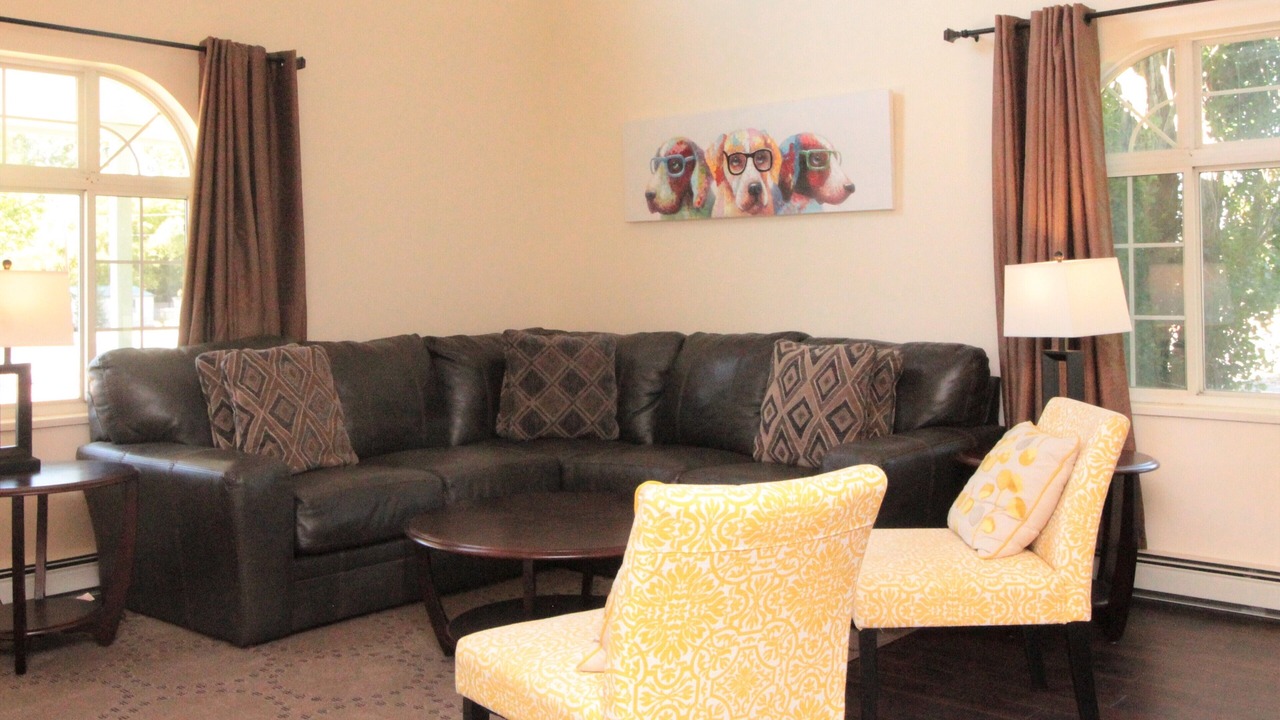 Photo of Livingroom in Montrose