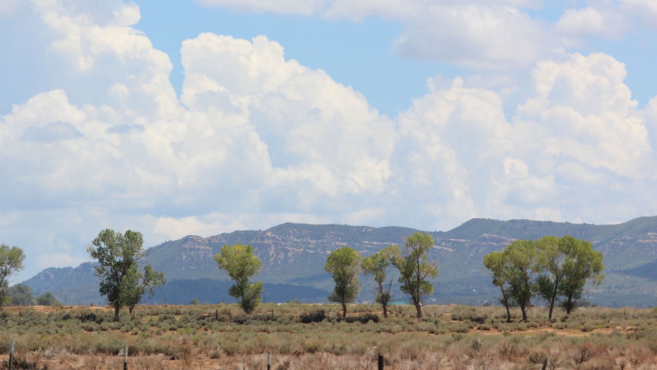 Photo of Others in Hesperus