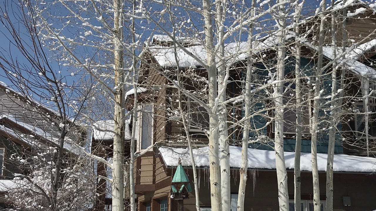 Photo of Outdoor in Steamboat Springs